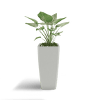 Quartet Planter