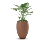 Brandy Planter