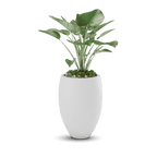 Brandy Planter